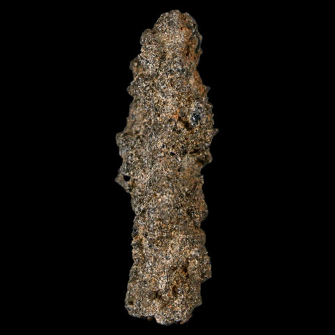 1.7" Fulgurite Petrified Lighting Strike Glass Sahara Desert Algeria - Fossil Age Minerals