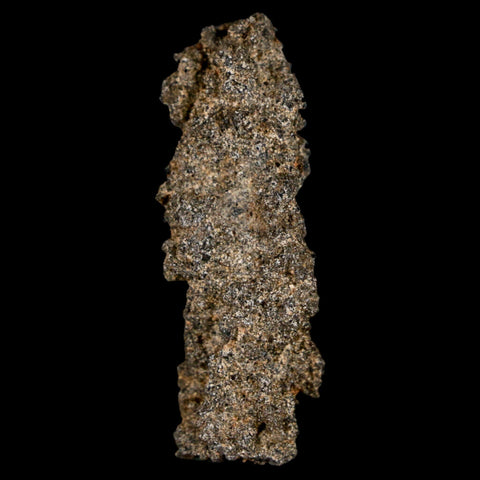1.7" Fulgurite Petrified Lighting Strike Glass Sahara Desert Algeria - Fossil Age Minerals
