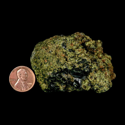 2.5" Rough Deep Green Epidote Crystal Quartz Mineral Specimen Canete Province Peru - Fossil Age Minerals