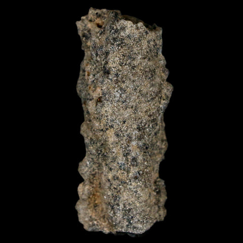 1.6" Fulgurite Petrified Lightning Strike Glass Sahara Desert Algeria - Fossil Age Minerals