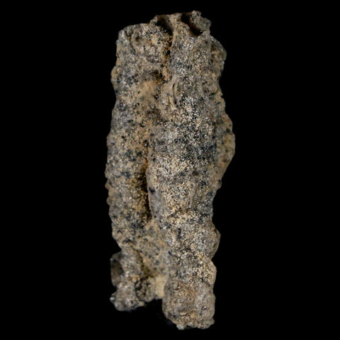 1.6" Fulgurite Petrified Lightning Strike Glass Sahara Desert Algeria - Fossil Age Minerals