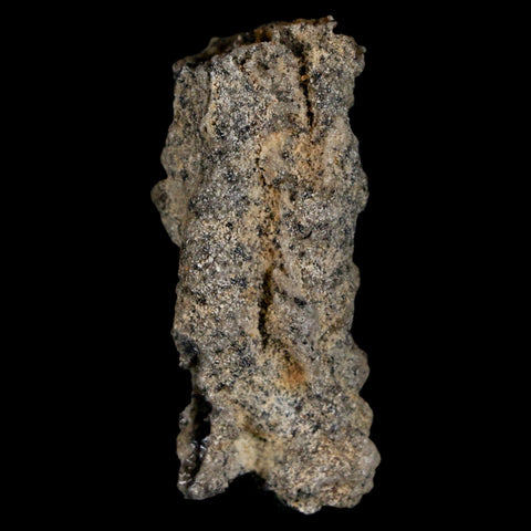 1.6" Fulgurite Petrified Lightning Strike Glass Sahara Desert Algeria - Fossil Age Minerals