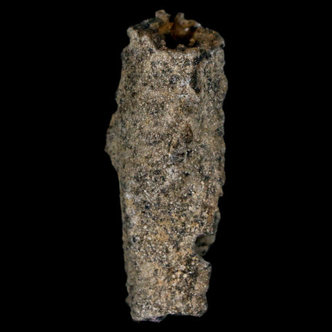 1.6" Fulgurite Petrified Lightning Strike Glass Sahara Desert Algeria - Fossil Age Minerals