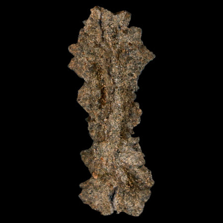 1.8" Fulgurite Petrified Lightning Strike Glass Sahara Desert Algeria