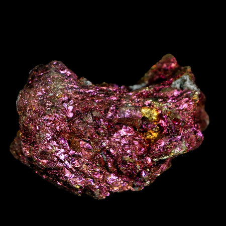 1.9" Chalcopyrite Bornite Brilliant Multicolored Peacock Ore Chihuahua Mexico