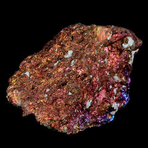 2.2" Chalcopyrite Bornite Brilliant Multicolored Peacock Ore Chihuahua Mexico - Fossil Age Minerals