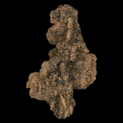 1.7" Fulgurite Petrified Lighting Strike Glass Sahara Desert Algeria - Fossil Age Minerals