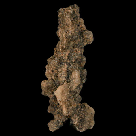1.7" Fulgurite Petrified Lighting Strike Glass Sahara Desert Algeria - Fossil Age Minerals