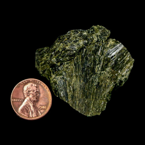 1.7" Rough Deep Green Epidote Crystal Quartz Mineral Specimen Canete Province Peru - Fossil Age Minerals