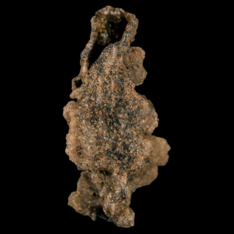 1.7" Fulgurite Petrified Lighting Strike Glass Sahara Desert Algeria - Fossil Age Minerals