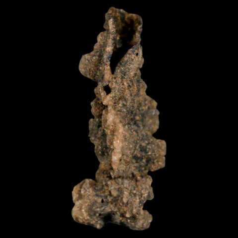 1.7" Fulgurite Petrified Lighting Strike Glass Sahara Desert Algeria - Fossil Age Minerals