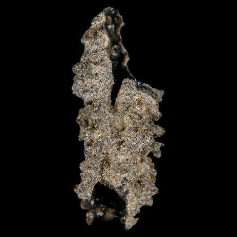 1.8" Fulgurite Petrified Lighting Strike Glass Sahara Desert Algeria - Fossil Age Minerals