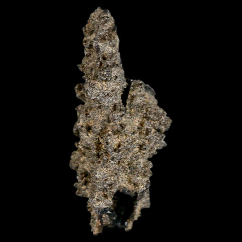 1.8" Fulgurite Petrified Lighting Strike Glass Sahara Desert Algeria - Fossil Age Minerals