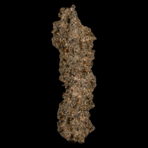1.7" Fulgurite Petrified Lighting Strike Glass Sahara Desert Algeria - Fossil Age Minerals