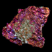 2.2" Chalcopyrite Bornite Brilliant Multicolored Peacock Ore Chihuahua Mexico
