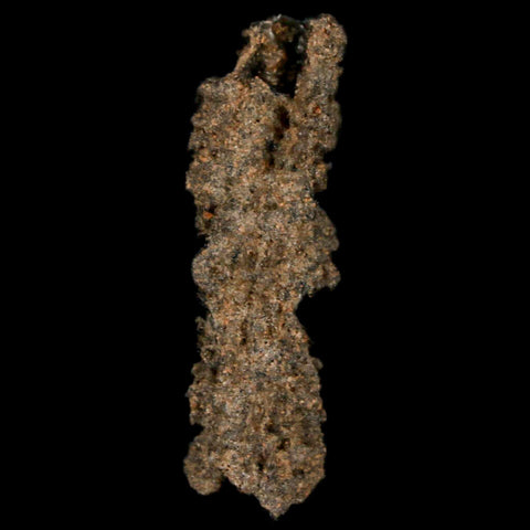 1.7" Fulgurite Petrified Lighting Strike Glass Sahara Desert Algeria - Fossil Age Minerals