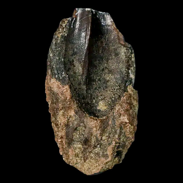 XL 1.3