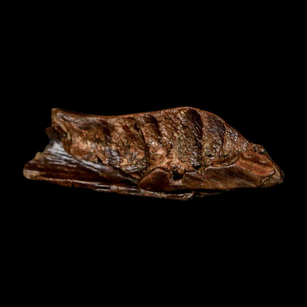 1.8