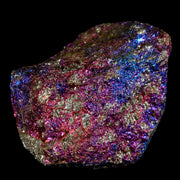 2" Chalcopyrite Bornite Brilliant Multicolored Peacock Ore Chihuahua Mexico