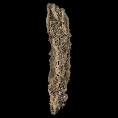 1.7" Fulgurite Petrified Lightning Strike Glass Sahara Desert Algeria - Fossil Age Minerals