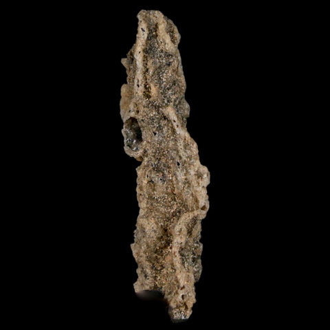 1.7" Fulgurite Petrified Lightning Strike Glass Sahara Desert Algeria - Fossil Age Minerals