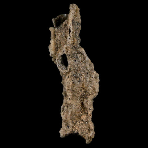 1.7" Fulgurite Petrified Lightning Strike Glass Sahara Desert Algeria - Fossil Age Minerals