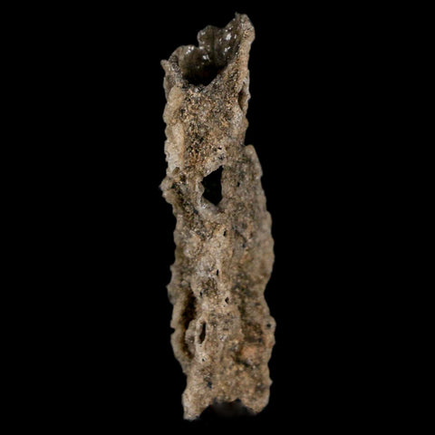 1.7" Fulgurite Petrified Lightning Strike Glass Sahara Desert Algeria - Fossil Age Minerals