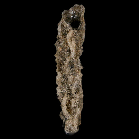 1.7" Fulgurite Petrified Lightning Strike Glass Sahara Desert Algeria - Fossil Age Minerals