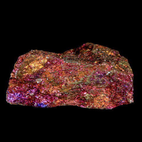 2.6" Chalcopyrite Bornite Brilliant Multicolored Peacock Ore Chihuahua Mexico - Fossil Age Minerals