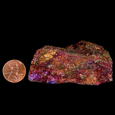 2.6" Chalcopyrite Bornite Brilliant Multicolored Peacock Ore Chihuahua Mexico - Fossil Age Minerals