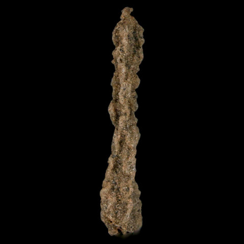 2.3" Fulgurite Petrified Lighting Strike Glass Sahara Desert Algeria - Fossil Age Minerals
