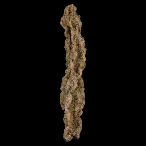 2.3" Fulgurite Petrified Lighting Strike Glass Sahara Desert Algeria - Fossil Age Minerals