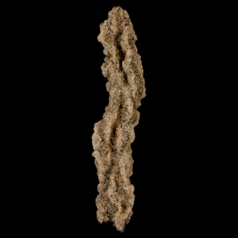 2.3" Fulgurite Petrified Lighting Strike Glass Sahara Desert Algeria - Fossil Age Minerals