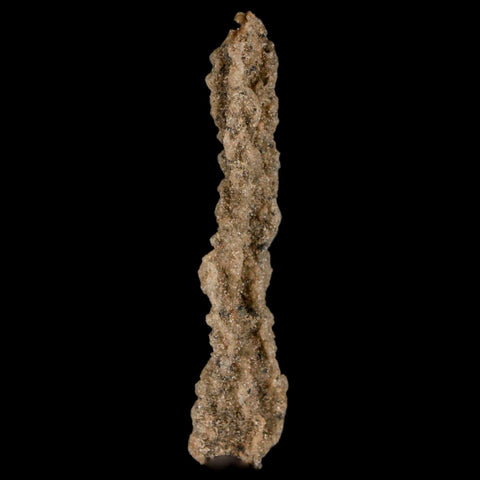 2.3" Fulgurite Petrified Lighting Strike Glass Sahara Desert Algeria - Fossil Age Minerals