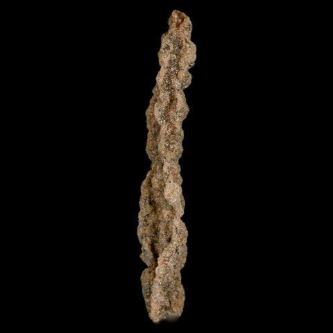 2.3" Fulgurite Petrified Lighting Strike Glass Sahara Desert Algeria - Fossil Age Minerals