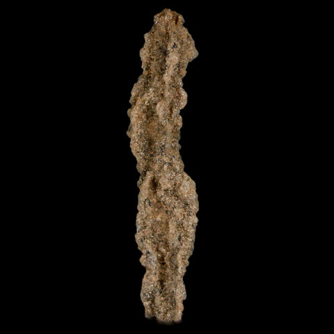 2.3" Fulgurite Petrified Lighting Strike Glass Sahara Desert Algeria - Fossil Age Minerals