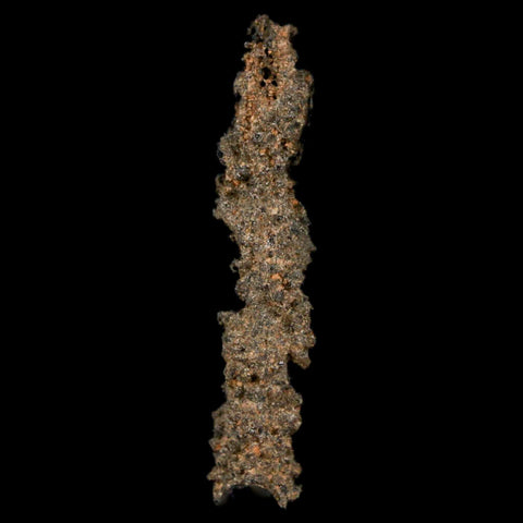 1.7" Fulgurite Petrified Lighting Strike Glass Sahara Desert Algeria - Fossil Age Minerals