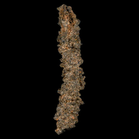 1.7" Fulgurite Petrified Lighting Strike Glass Sahara Desert Algeria - Fossil Age Minerals
