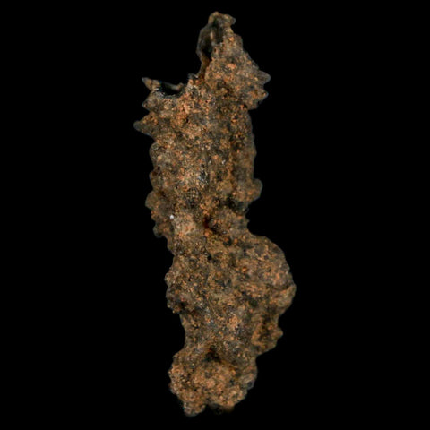 1.7" Fulgurite Petrified Lightning Strike Glass Sahara Desert Algeria - Fossil Age Minerals