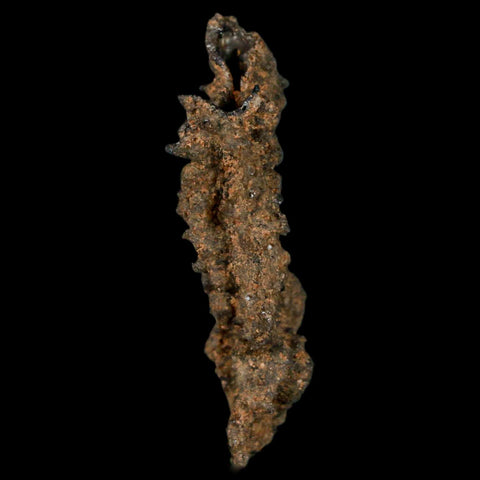 1.7" Fulgurite Petrified Lightning Strike Glass Sahara Desert Algeria - Fossil Age Minerals