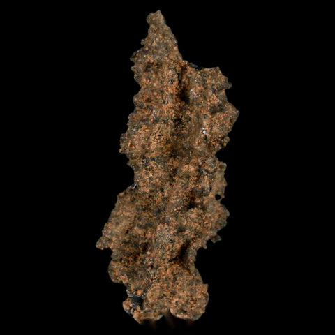 1.7" Fulgurite Petrified Lightning Strike Glass Sahara Desert Algeria - Fossil Age Minerals