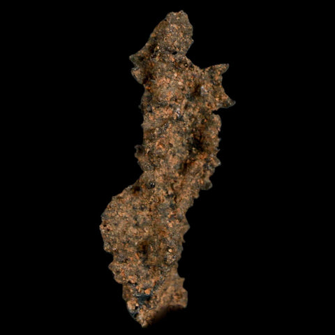 1.7" Fulgurite Petrified Lightning Strike Glass Sahara Desert Algeria - Fossil Age Minerals