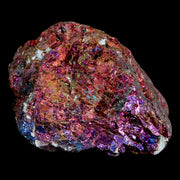 2.3" Chalcopyrite Bornite Brilliant Multicolored Peacock Ore Chihuahua Mexico