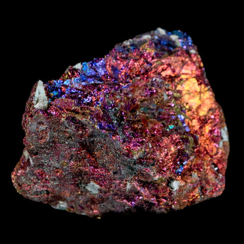 2.3" Chalcopyrite Bornite Brilliant Multicolored Peacock Ore Chihuahua Mexico - Fossil Age Minerals