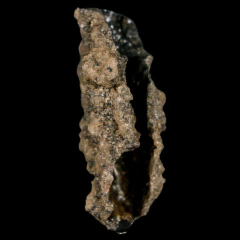 1.5" Fulgurite Petrified Lighting Strike Glass Sahara Desert Algeria - Fossil Age Minerals