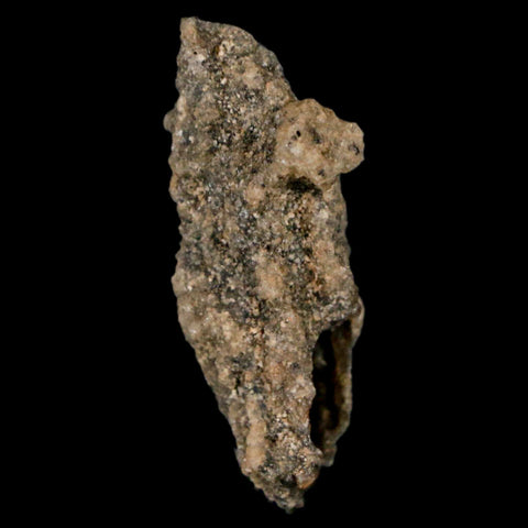 1.5" Fulgurite Petrified Lighting Strike Glass Sahara Desert Algeria - Fossil Age Minerals