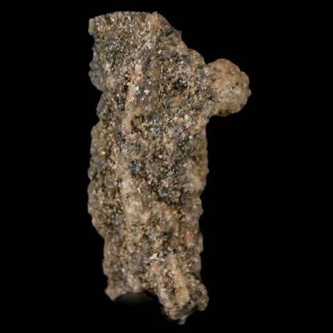 1.5" Fulgurite Petrified Lighting Strike Glass Sahara Desert Algeria - Fossil Age Minerals