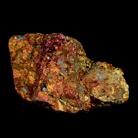 2.2" Chalcopyrite Bornite Brilliant Multicolored Peacock Ore Chihuahua Mexico - Fossil Age Minerals