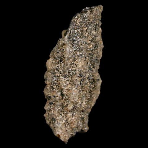 1.5" Fulgurite Petrified Lighting Strike Glass Sahara Desert Algeria - Fossil Age Minerals