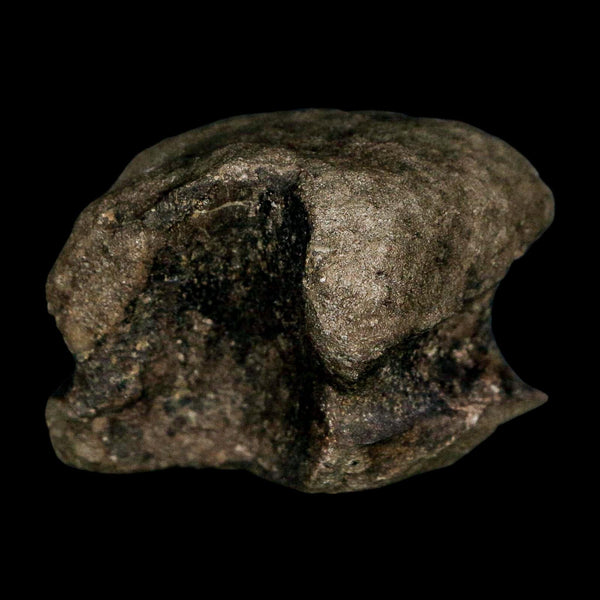 1.7